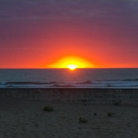 Willa L'Ocenoa Mimizan-Plage Zewnętrze zdjęcie